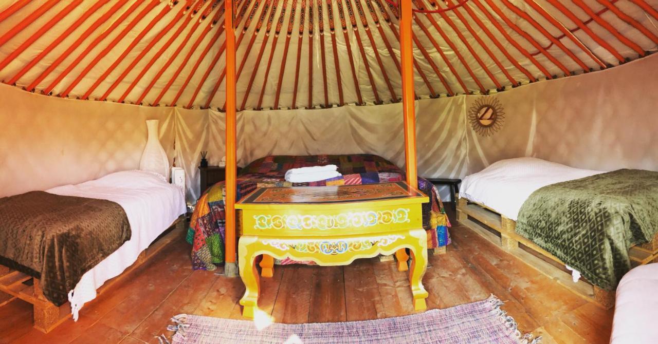 Les Colombines Bed & Breakfast Hombleux Ngoại thất bức ảnh