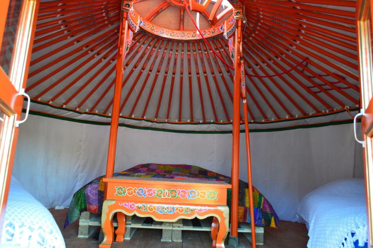 Les Colombines Bed & Breakfast Hombleux Ngoại thất bức ảnh